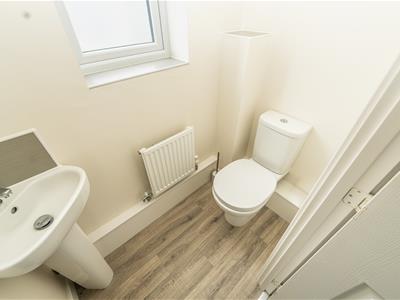 Picture 33